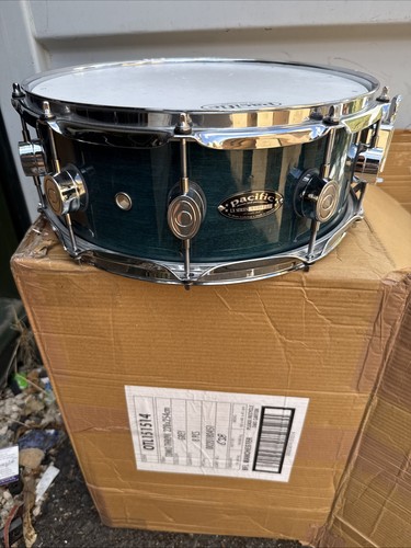 Pacific maple snare - 14”,